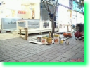deck ilsan dunkin0052.jpg